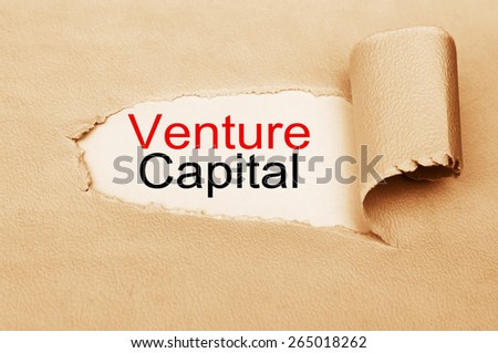 Venture Capital concept