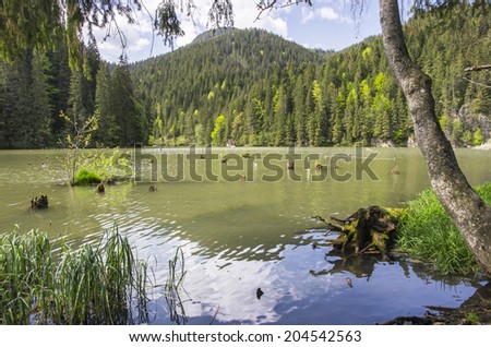 Natural dam lake in forest, Red Lake in Romania
