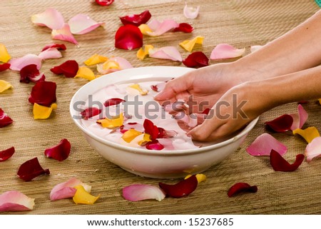 beautiful female hands and bowl of pure water with rose petals