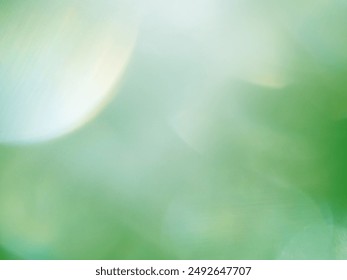 White​ light​ bokeh​ on​ a​ green​ back​ground​ is​ used​ for​ Graphics​