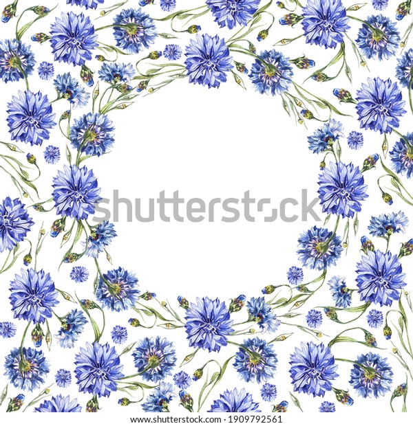 1 分離型背景に青い水色のトウモロコシの花と白い円で作られた1つの花柄の背景 のイラスト素材