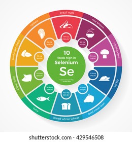 10 Foods High In Selenium. Nutrition Infographics. Healthy Lifestyle And Diet Illustration With Food Icons.