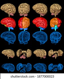 100 Megapixels Set - Human Brain With Xray Examination Style Image And Highlighted Zones Isolated, Medical Discovery Concept - Cg High Detailed Medical 3D Illustration