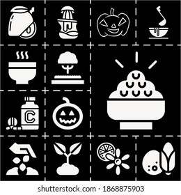 13 Filled Seeds Icons Set Related To Garden, Punch Bowl, Halloween Pumpkin Outline, Pumpkin, Citrus, Rice Bowl, Sapodilla, Vitamins, Coconut, Plant, Seeds Pixel Perfect Icons.