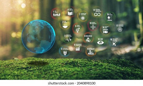 17 Global Goals Concept Earth Plexus Design In Moss Forrest Background SDGs. 3D Illustration