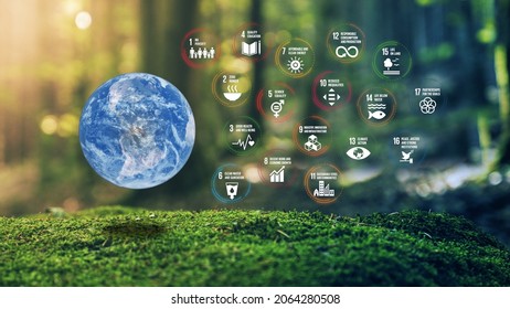 17 Global Goals Concept Photo Realistic Earth Design In Moss Forrest Background 3D Render