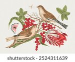 The 18th century illustration of two brown birds on a branch with tulip, berries, and insects. Vintage perching birds art, bird drawing illustration, old birds perching painting, bird art print.