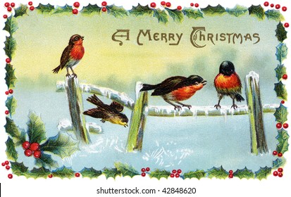 A 1913 Christmas card illustration of winter song birds surrounded by a frame of holly.