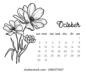 october birth month flower cosmos