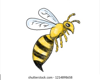 2d Animation motion graphics showing a drawing of a honeybee,honey bee or bumble bee flying viewed from side on white background.