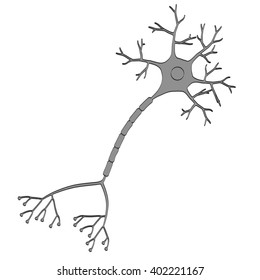 2d Cartoon Illustration Of Brain Neuron