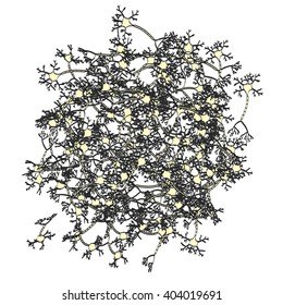 2d Cartoon Illustration Of Brain Neuron