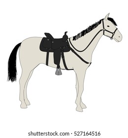 2d Cartoon Illustration Horse Stock Illustration 527164516 | Shutterstock