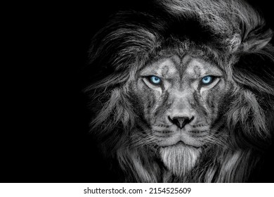 A 2D Grayscale Illustration Of A Fierce Lion With Glowing Blue Eyes On A Black Background