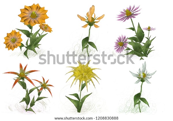 2d Illustration Decorative Isolated Flower Image Stock Illustration ...