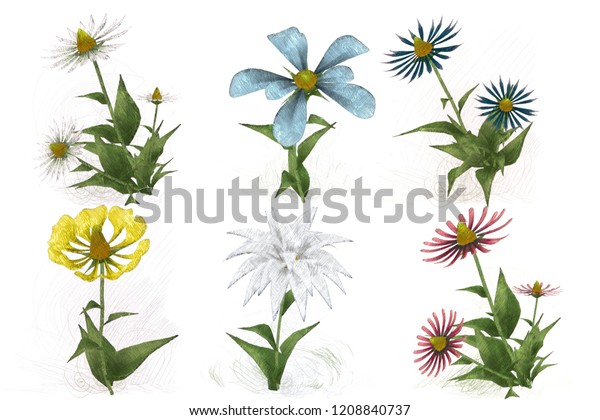 2d Illustration Decorative Isolated Flower Image Stock Illustration ...