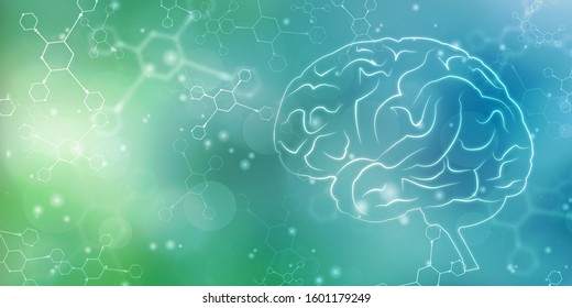 2d Illustration Human Health Brain 
