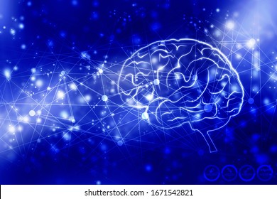 2d Illustration Human Health Brain 