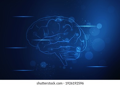 2d illustration Human health brain 