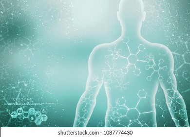 2d Illustration Human Male Muscle Body Stock Illustration 1087774430