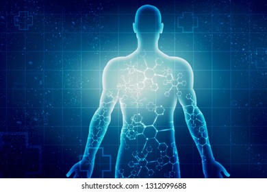 2d Illustration Human Male Muscle Body Stock Illustration 1076075159