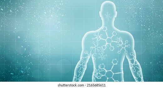 2d Illustration Human Male Muscle Body Stock Illustration 2165685611 