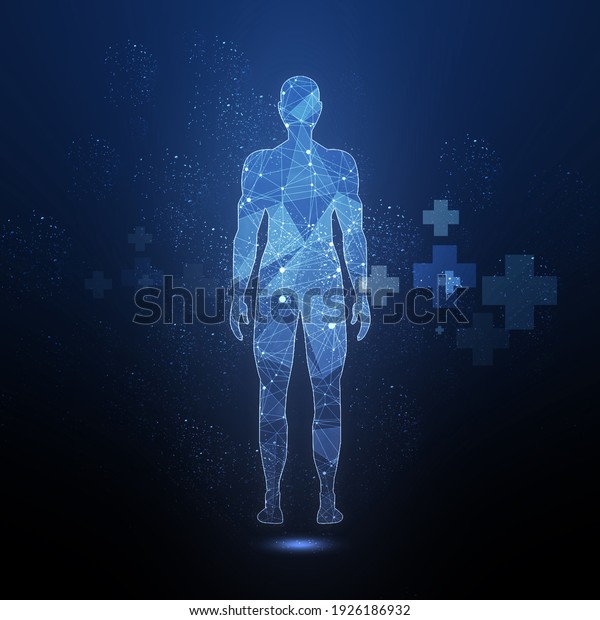 2d illustration\
Human Male Muscle\
Body\
