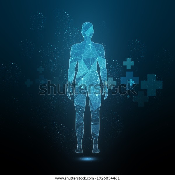 2d illustration Human\
Male Muscle Body