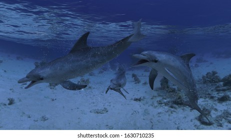 3 dolping posing while swimming together and having great time 3d rendering