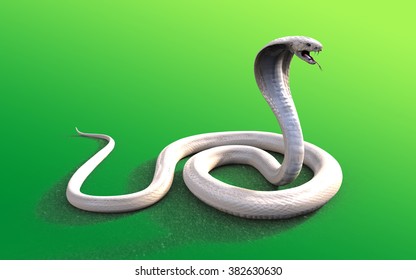 3d Albino King Cobra Snake Isolated Stock Illustration 382630630