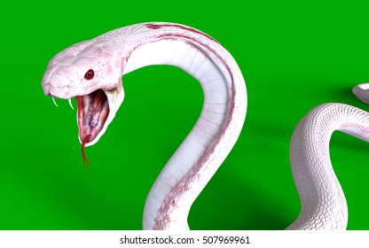 3d Albino King Cobra Snake Isolated On Green Background, Snake Attack, Cobra Snake