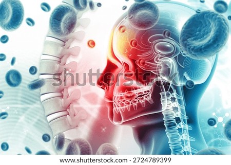 3D Anatomical Render of Human Head and Cervical Spine on Clinical Data Background. 3d illustration