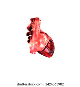 3d Anatomy Human Heart Stock Illustration 1424563982 | Shutterstock