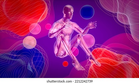 3D Anatomy Of A Man Doing Situps