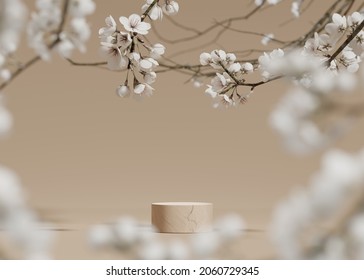 3D background, beige podium. Round display, sakura white flower tree branch. Cosmetic or beauty product promotion step stone floral pedestal. Abstract minimal advertise. 3D render copy space template