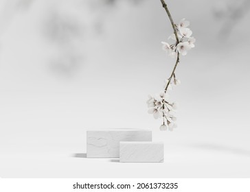3D background, white podium. Cube display, sakura white flower tree branch. Cosmetic or beauty product promotion step stone floral pedestal. Abstract minimal advertise. 3D render copy space template
