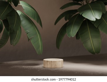 3D background with wooden podium display. Nature wood pedestal with tropical banana palm leaf and shadow. Cosmetic, beauty product promotion stand with plant. Studio 3D render illustration