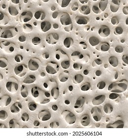 3D Bone Structure Sponge Medical 
