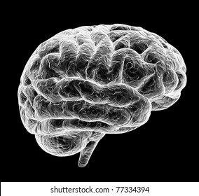 3d Brain Isolated On Black Background