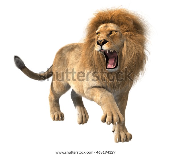 白い背景に怒り狂うライオンの3d Cgイラスト のイラスト素材