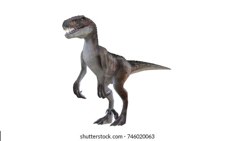 Hypsilophodon Dinosaur On White 3d Illustration Stock Illustration 