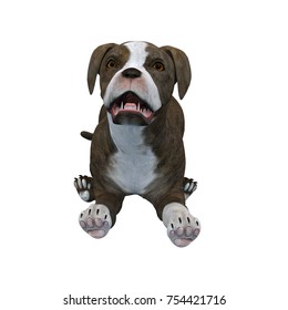 3D CG rendering of a dog