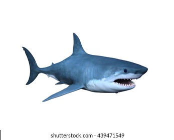 White Shark 3d Images Stock Photos Vectors Shutterstock