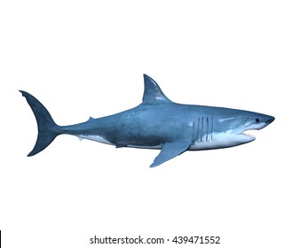ホオジロザメ のイラスト素材 画像 ベクター画像 Shutterstock