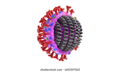 3D COVID 19 Virus Structure