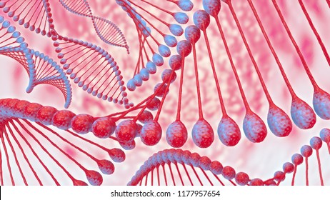 3D Deoxyribo Nucleic Acid Sequence