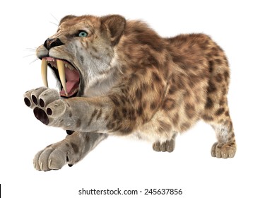 3D Digital Render Of An Aggressive Smilodon Or A Saber Toothed Cat Isolated On White Background