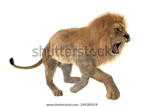 白い背景に怒りの走る雄のライオンの3dデジタルレンダリング のイラスト素材