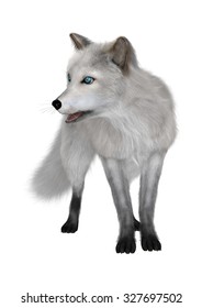 3D Digital Render Of An Arctic Fox Isolated On White Background