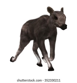 3D Digital Render Of A Caribou Calf Running Isolated On White Background